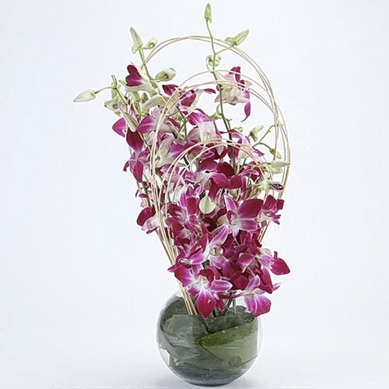 Fresh Purple Orchid Vase