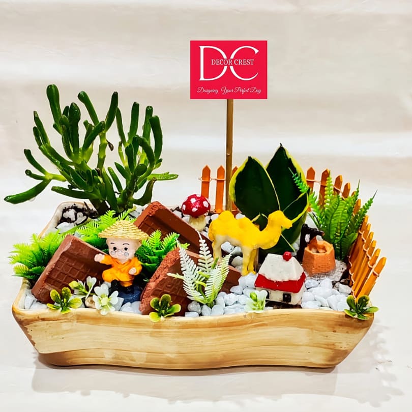 Zen Harmony Miniature Garden