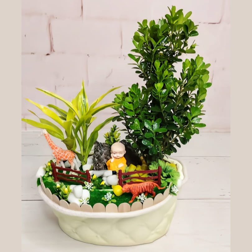 Tranquil Green Mini Garden