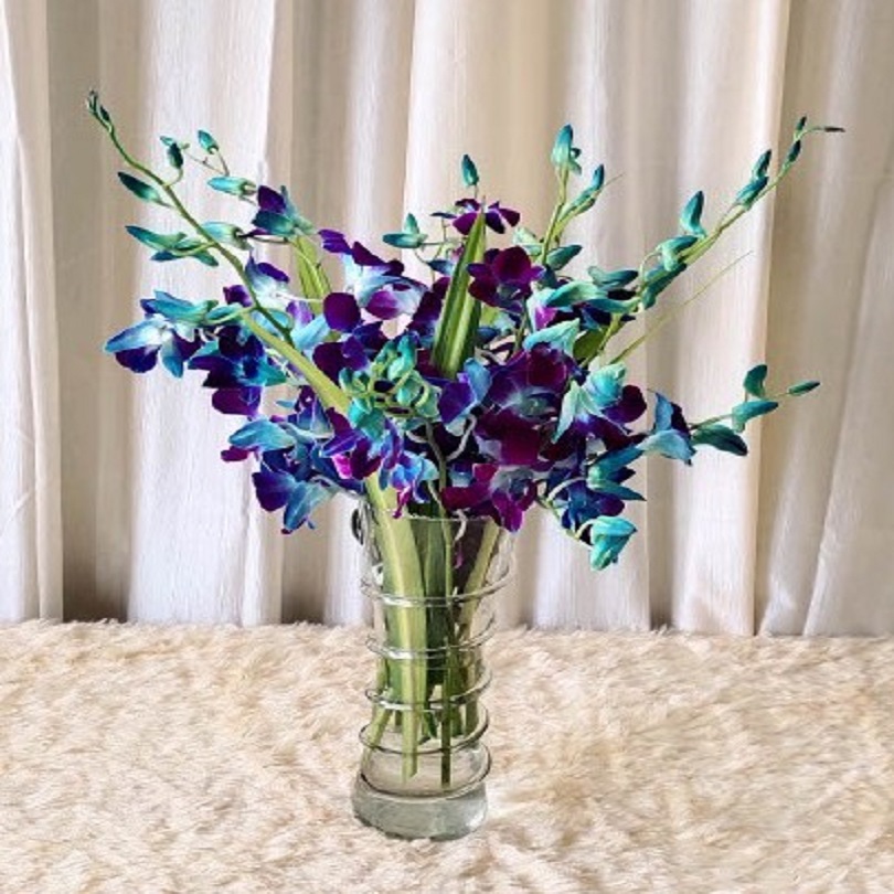 Blue Orchid Serenity Arrangement