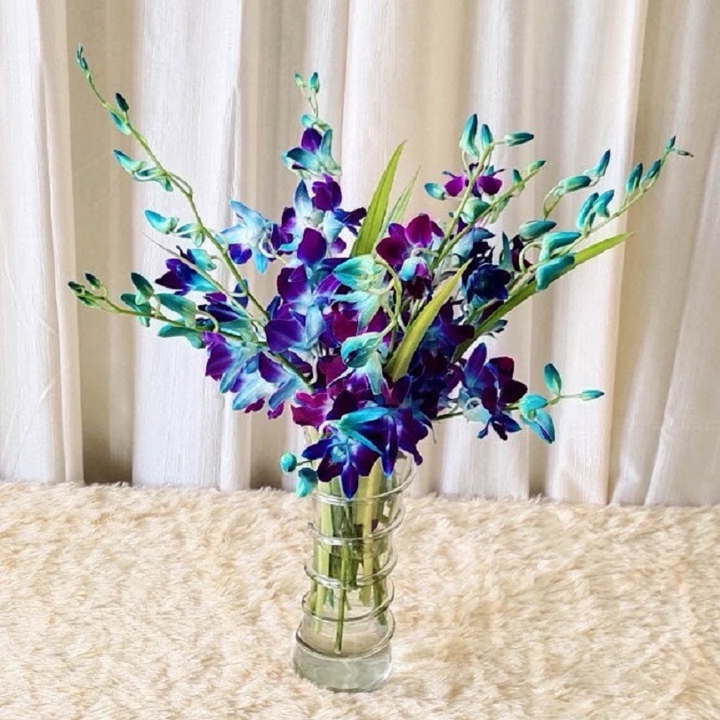 Blue Orchid Serenity Arrangement