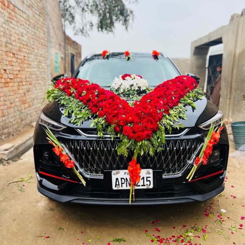 Velvet Rose V-Shape Ride