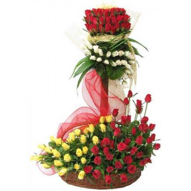 Colourful nice Arrangement 