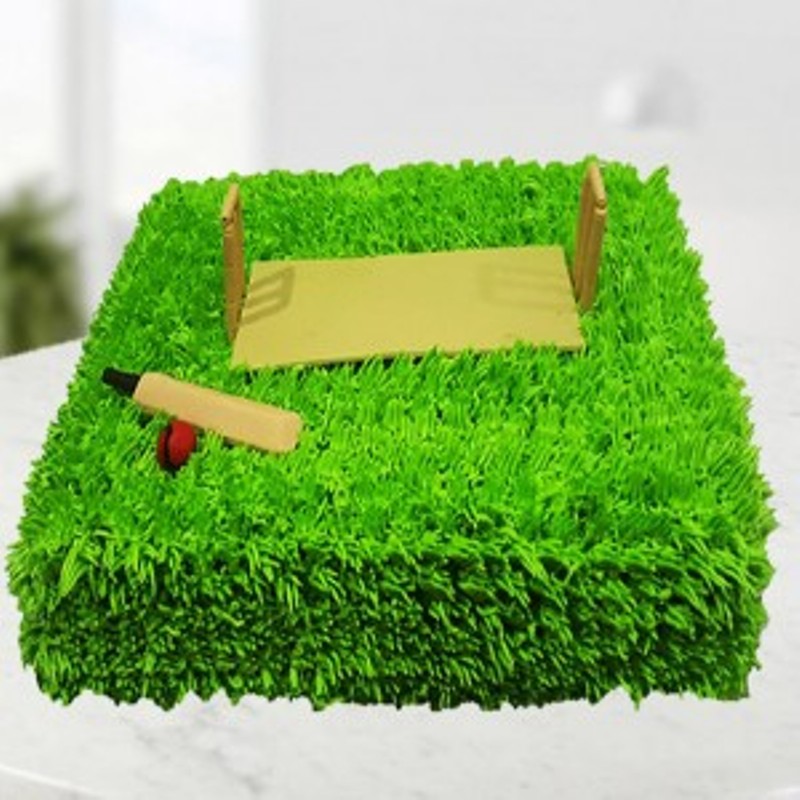 Cricket Ground cake