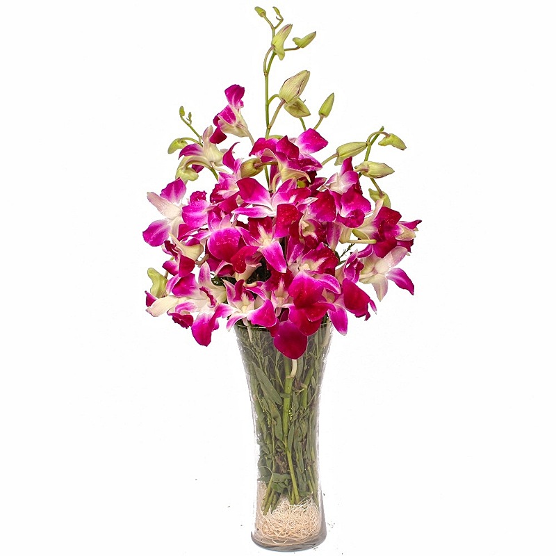 Purple Orchid in Vase