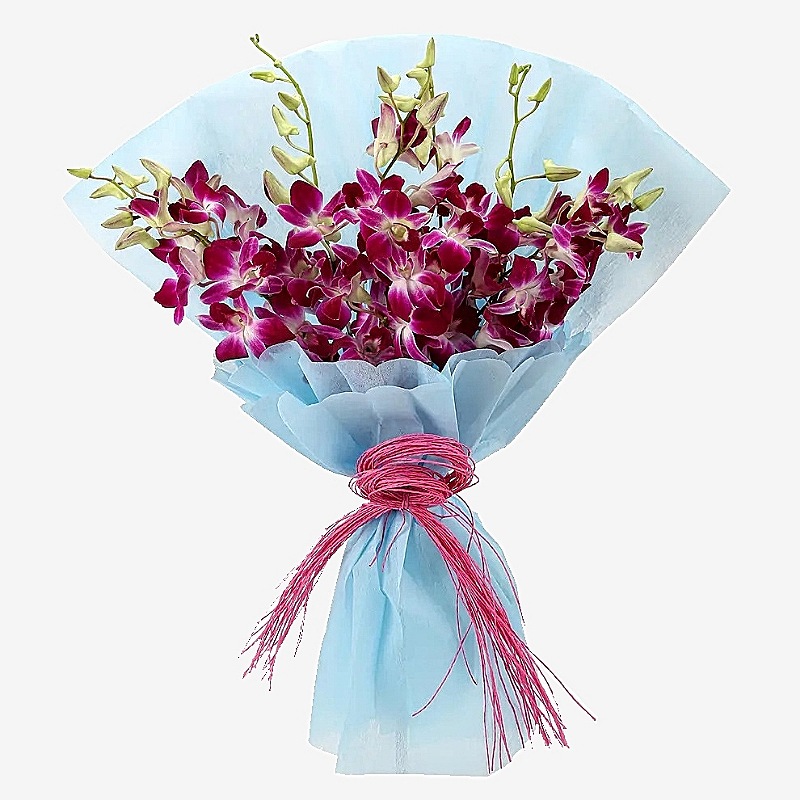 Super Orchid Gifting