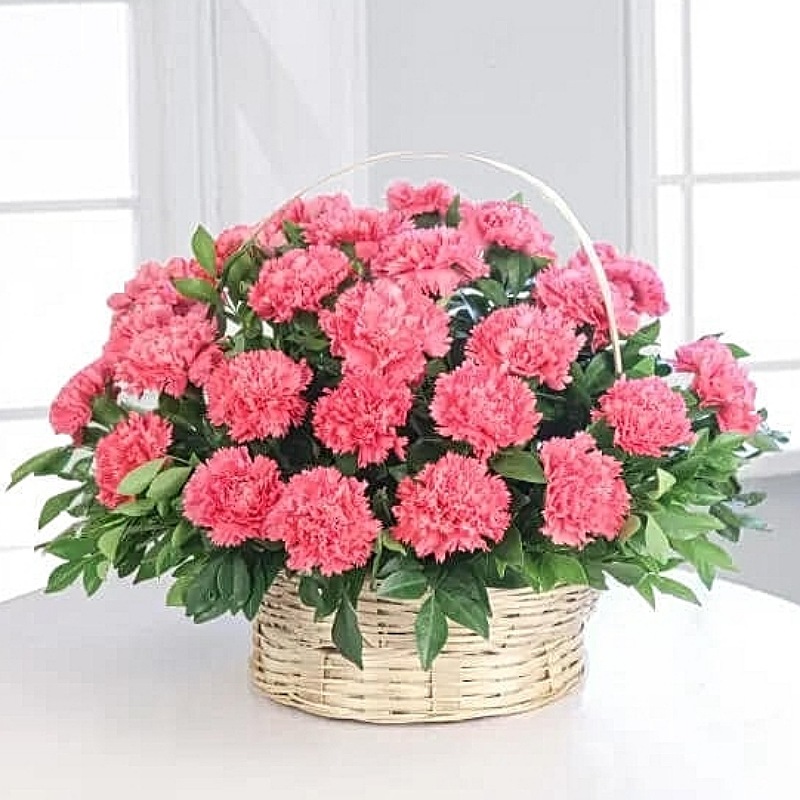 Pink Carnation - Handle Basket