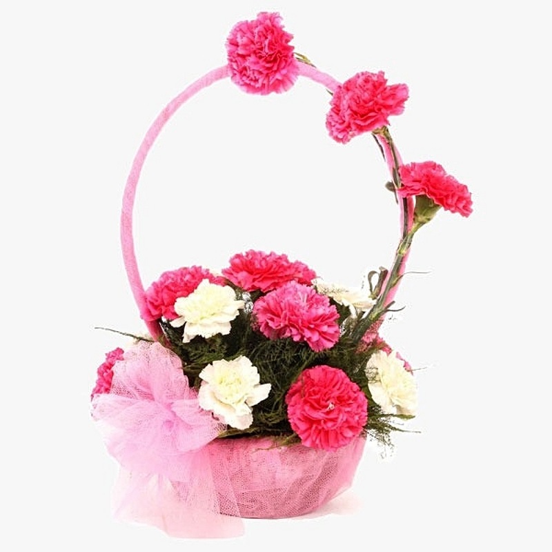 Happiness - Carnation Basket