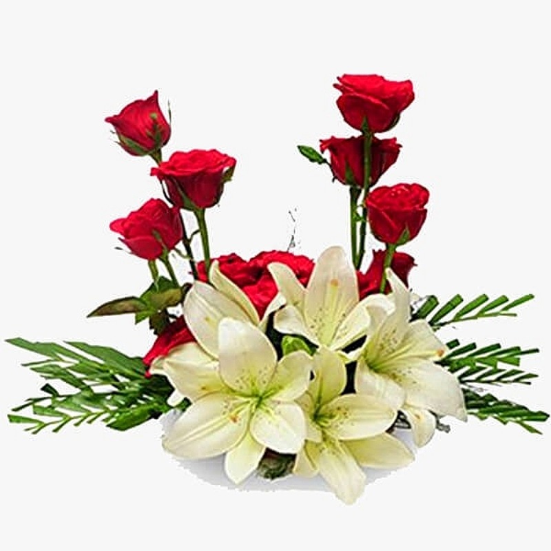 Red and White Basket